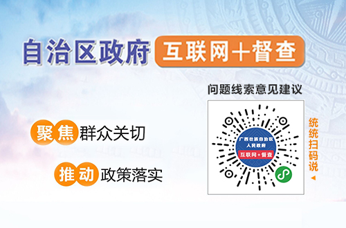 自治區政府互聯網+督查上線了！